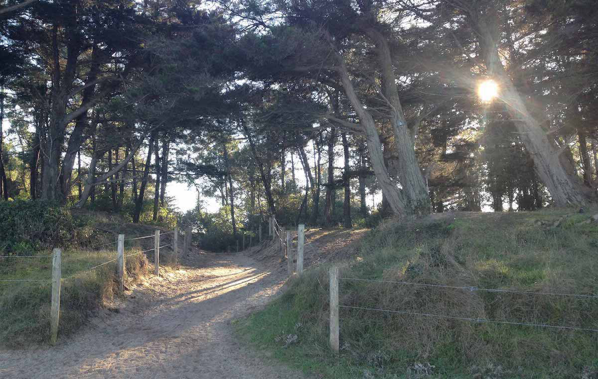 La Clère Paesi della Loira - Noirmoutier-en-l'Île visuel 2/3