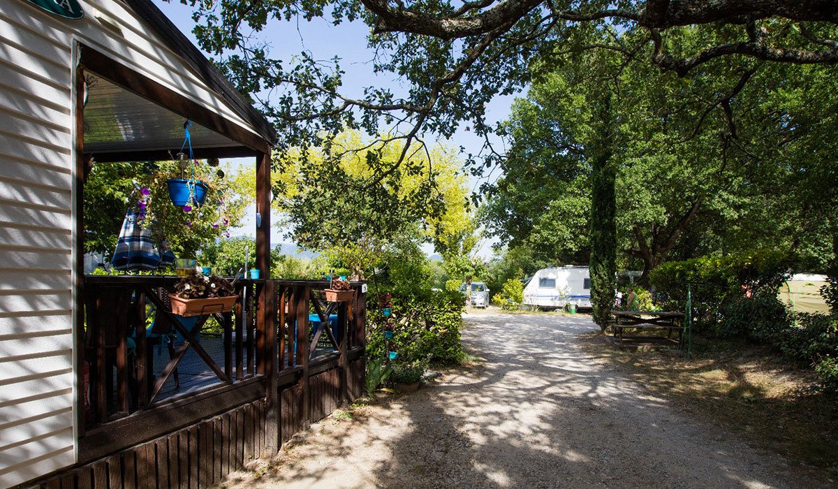 La Coronne Provenza-Alpi-Costa Azzurra - Valréas visuel 7/17