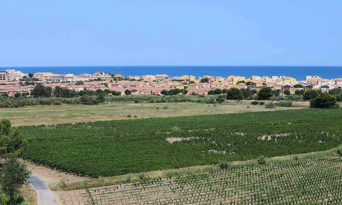 Campéole La Côte des Roses Linguadoca-Rossiglione - Narbonne-Plage visuel 27/41