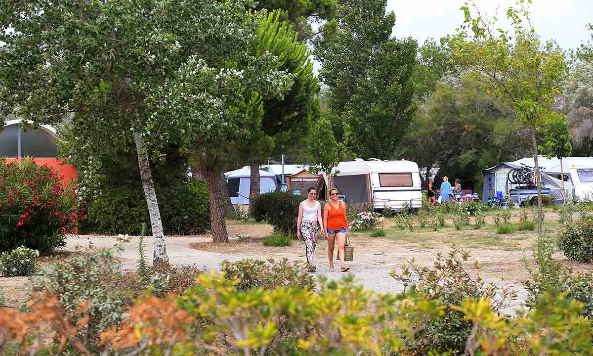 Campéole La Côte des Roses Linguadoca-Rossiglione - Narbonne-Plage visuel 21/41