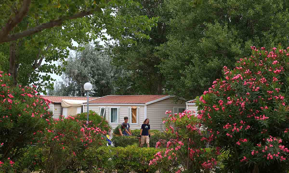 Campéole La Côte des Roses Linguadoca-Rossiglione - Narbonne-Plage visuel 23/41