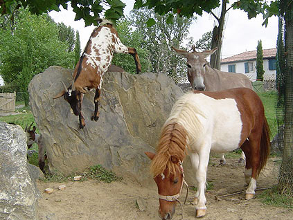 La Ferme des 4 Chênes Aquitania - Urt visuel 6/7