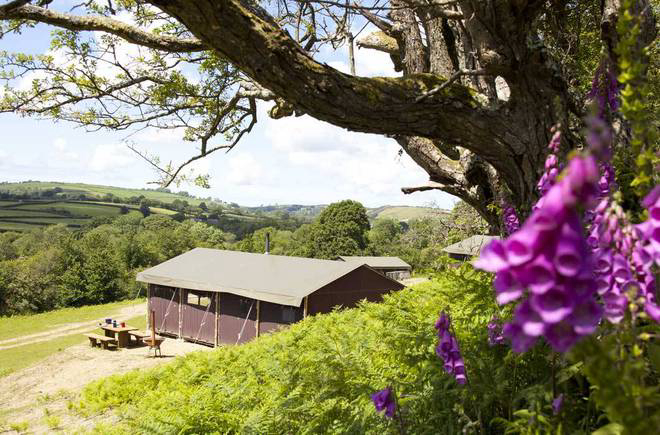 La Ferme de la Folivraie Bassa Normandia - Louvières visuel 2/4