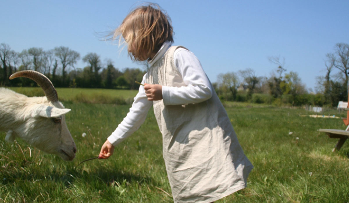 La Ferme de la Folivraie Bassa Normandia - Louvières visuel 1/4