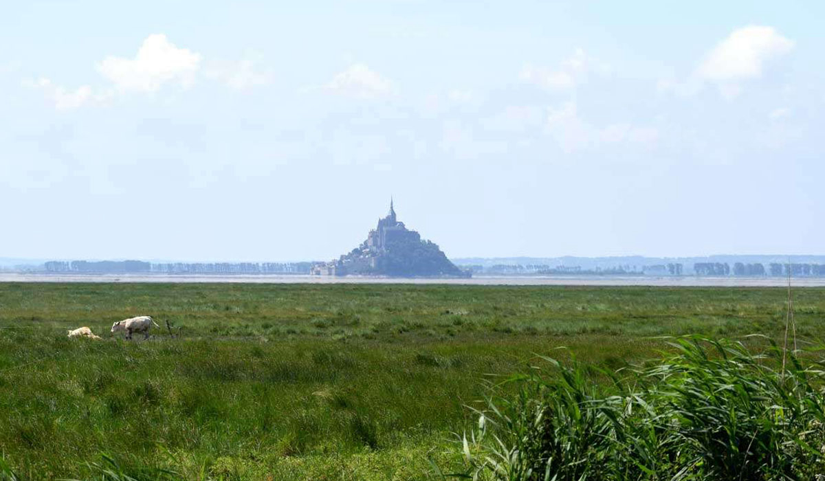 La Ferme de la Moriciere Bassa Normandia - Sartilly visuel 1/5