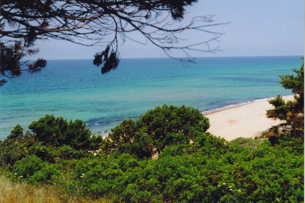 La Foce Sardegna - Valledoria visuel 4/6 La Foce Sardegna - Valledoria visuel 4/6