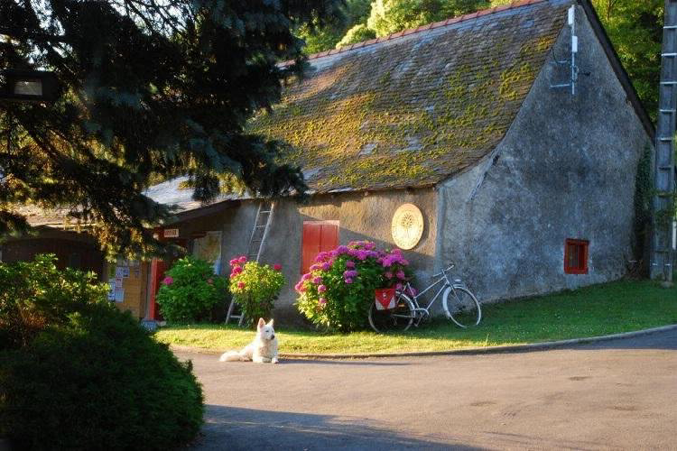 La Forêt Lourdes Midi-Pirenei - Lourdes visuel 8/9 La Forêt Lourdes Midi-Pirenei - Lourdes visuel 8/9
