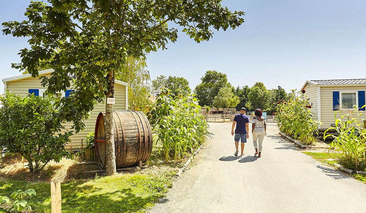 La Grand'Métairie Paesi della Loira - Saint-Hilaire-la-Forêt visuel 36/46