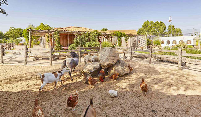 La Grand'Métairie Paesi della Loira - Saint-Hilaire-la-Forêt visuel 44/46