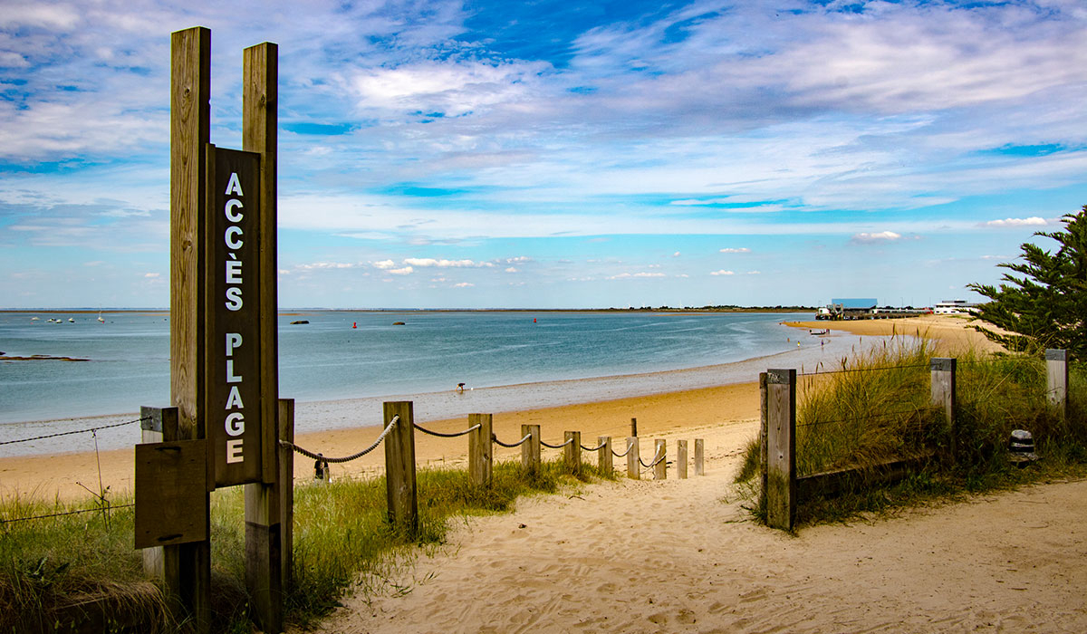 La Grande Côte Paesi della Loira - La Barre-de-Monts visuel 8/24 La Grande Côte Paesi della Loira - La Barre-de-Monts visuel 8/24