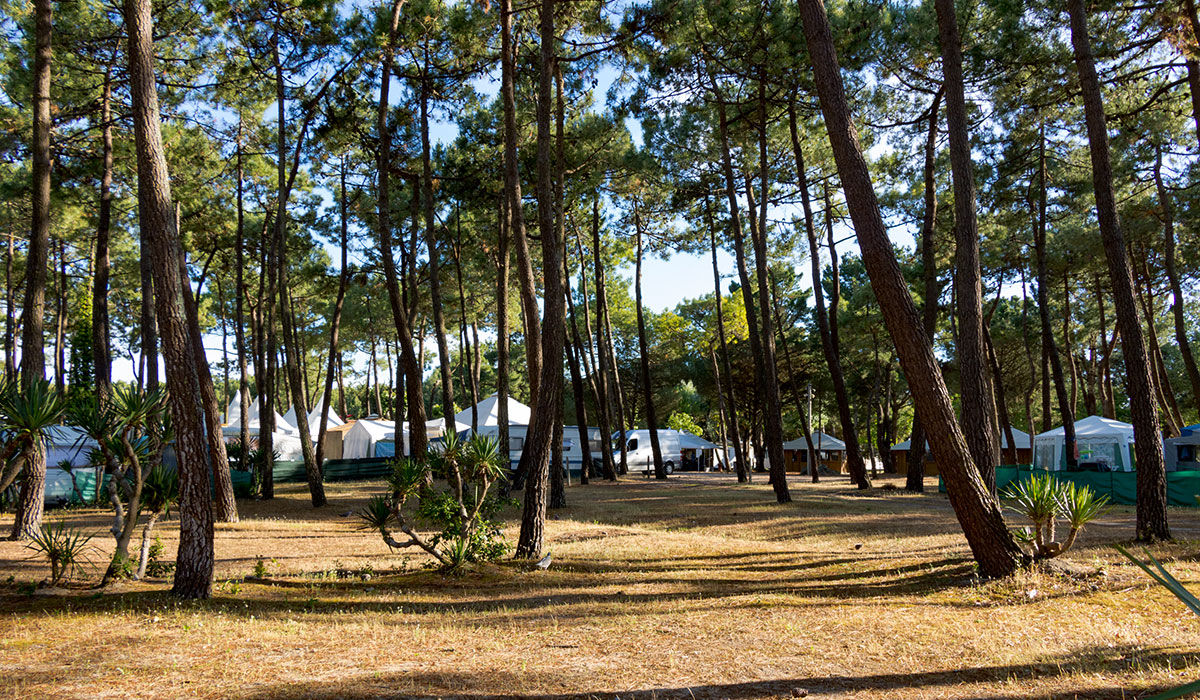 La Grande Côte Paesi della Loira - La Barre-de-Monts visuel 5/24 La Grande Côte Paesi della Loira - La Barre-de-Monts visuel 5/24