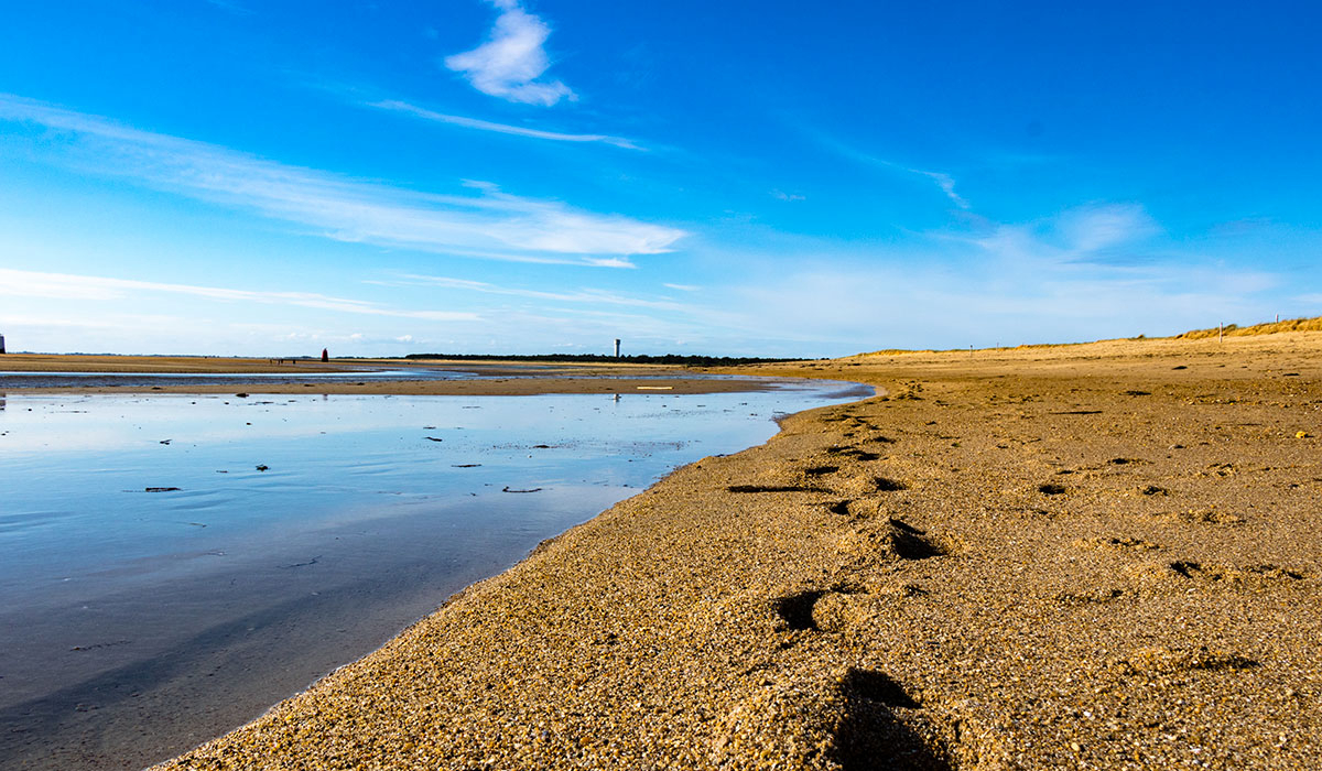 La Grande Côte Paesi della Loira - La Barre-de-Monts visuel 4/24 La Grande Côte Paesi della Loira - La Barre-de-Monts visuel 4/24
