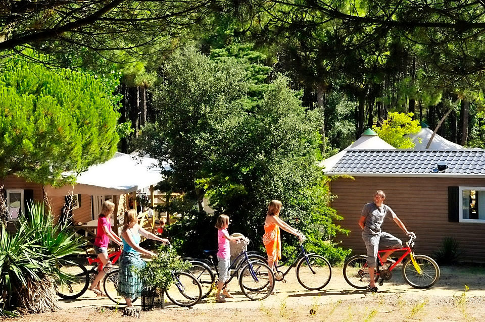 La Grande Côte Paesi della Loira - La Barre-de-Monts visuel 19/24 La Grande Côte Paesi della Loira - La Barre-de-Monts visuel 19/24