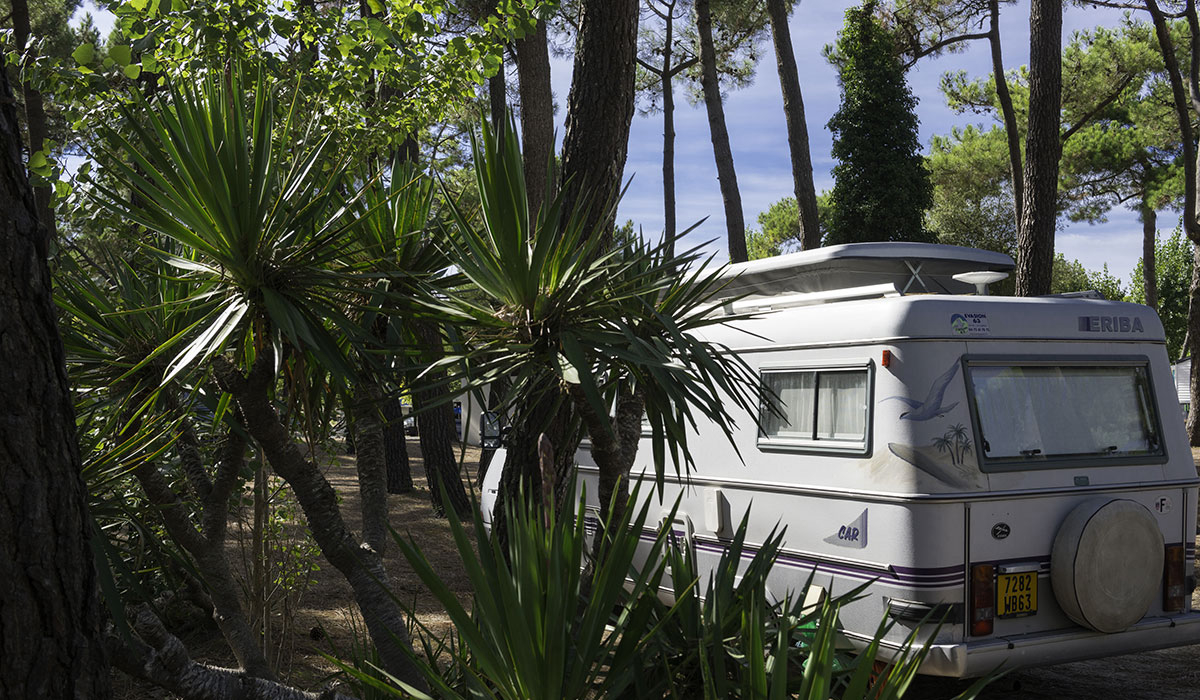 La Grande Côte Paesi della Loira - La Barre-de-Monts visuel 11/24 La Grande Côte Paesi della Loira - La Barre-de-Monts visuel 11/24