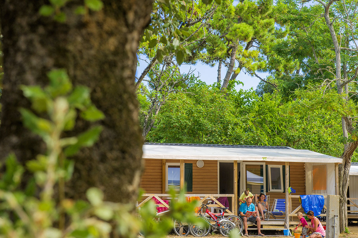 La Grande Côte Paesi della Loira - La Barre-de-Monts visuel 23/24 La Grande Côte Paesi della Loira - La Barre-de-Monts visuel 23/24