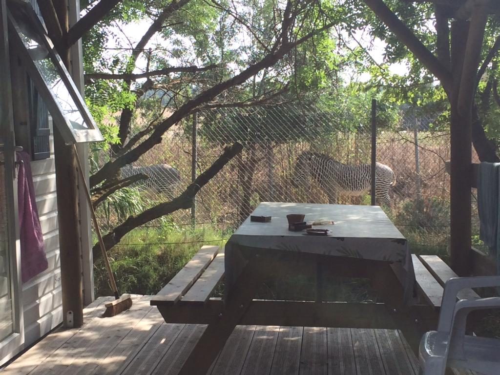 La Grange Neuve Linguadoca-Rossiglione - Sigean visuel 6/8