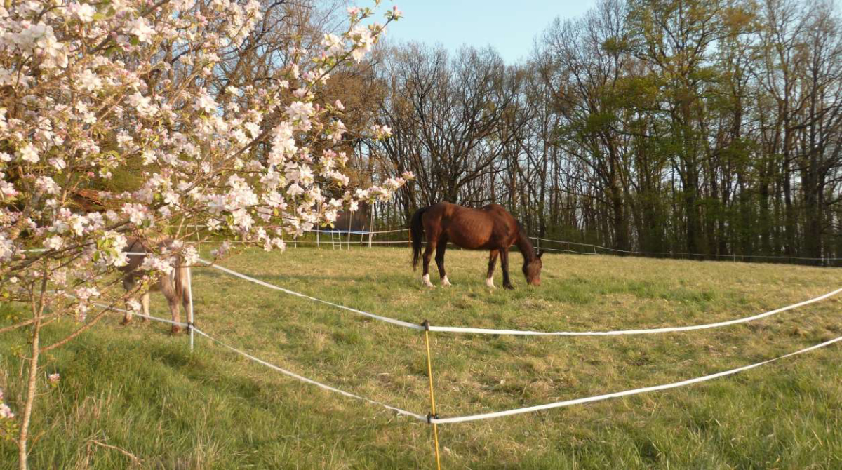 La Grange du Bost Aquitania - Montagrier visuel 3/3 La Grange du Bost Aquitania - Montagrier visuel 3/3