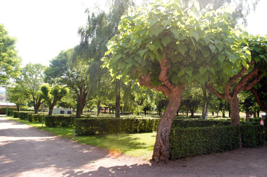 La Graviere Alvernia - Saint-Yorre visuel 1/1