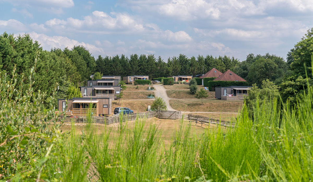 La Guyonnière Paesi della Loira - Saint-Julien-des-Landes visuel 12/34 La Guyonnière Paesi della Loira - Saint-Julien-des-Landes visuel 12/34