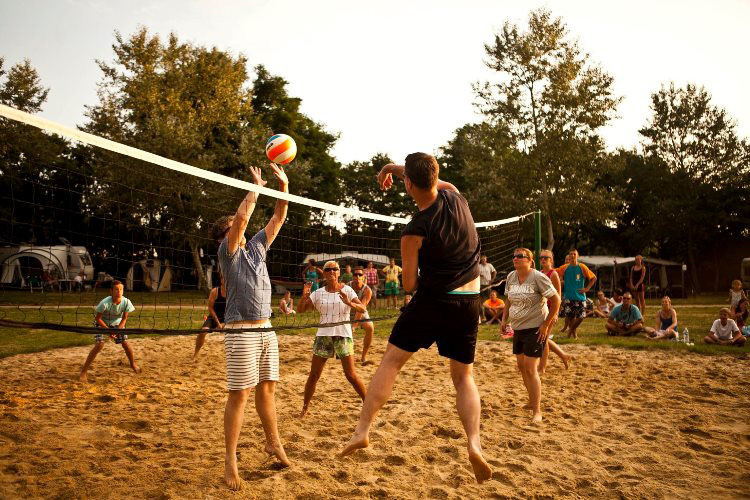 La Guyonnière Paesi della Loira - Saint-Julien-des-Landes visuel 24/34 La Guyonnière Paesi della Loira - Saint-Julien-des-Landes visuel 24/34