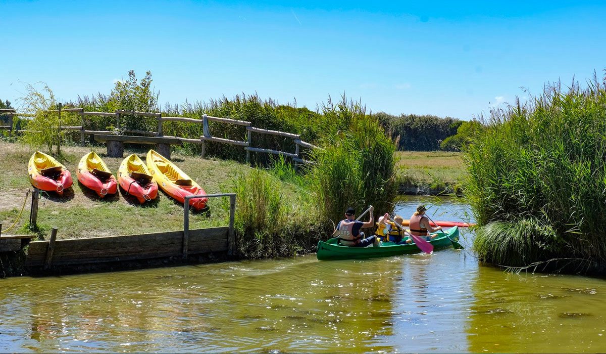 La Guyonnière Paesi della Loira - Saint-Julien-des-Landes visuel 11/34 La Guyonnière Paesi della Loira - Saint-Julien-des-Landes visuel 11/34