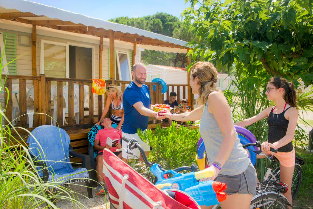 La Marine Linguadoca-Rossiglione - Le Grau-du-Roi visuel 11/12