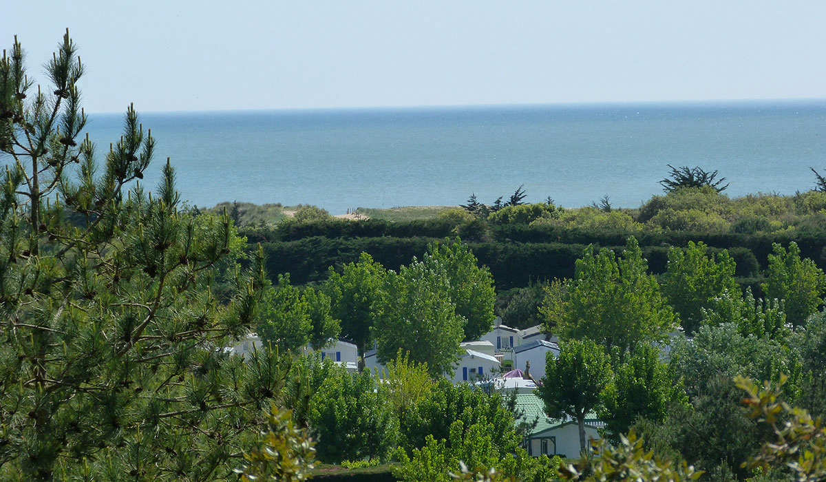 La Parée du Jonc Paesi della Loira - Saint-Jean-de-Monts visuel 6/17