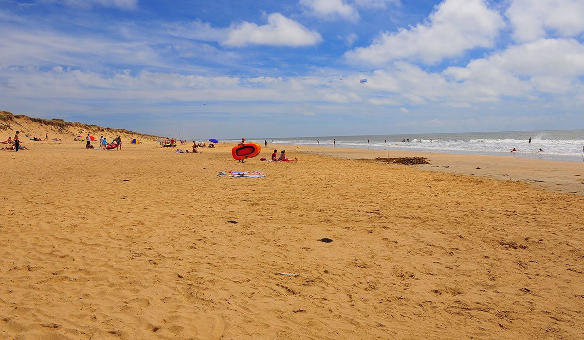 La Parée du Jonc Paesi della Loira - Saint-Jean-de-Monts visuel 13/17
