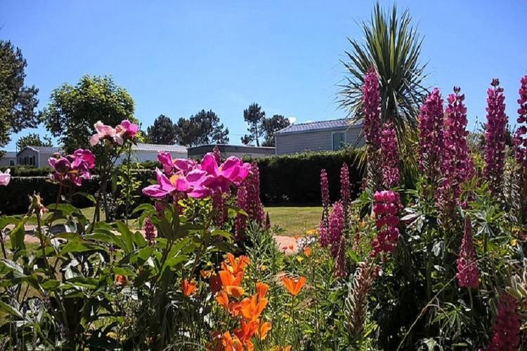 La Plage Bassa Normandia - Fermanville visuel 7/7