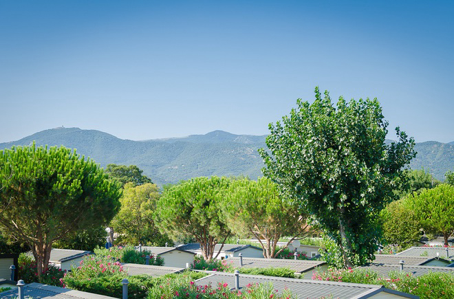 La Plage Linguadoca-Rossiglione - Argelès-sur-Mer visuel 2/6