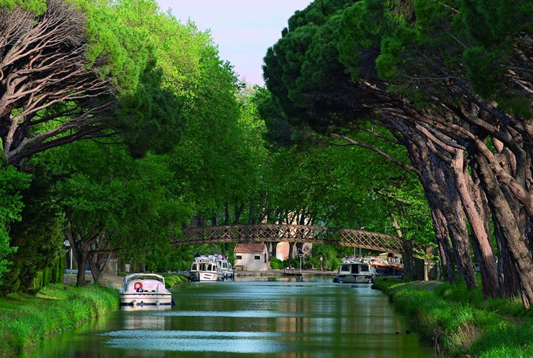 La Plage du Midi Linguadoca-Rossiglione - Portiragnes visuel 3/7