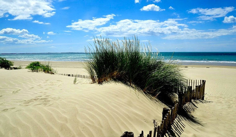 La Plage du Midi Linguadoca-Rossiglione - Portiragnes visuel 2/7