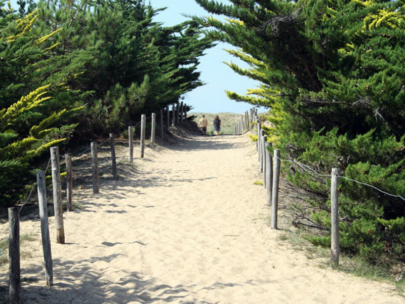 La Prairie Paesi della Loira - Saint-Hilaire-de-Riez visuel 8/15