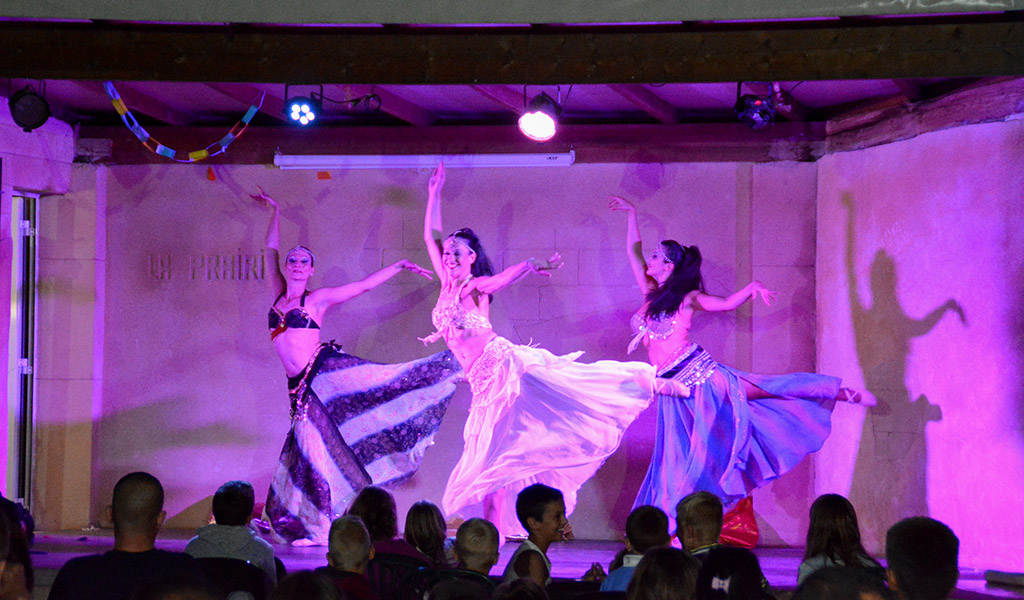 La Prairie Provenza-Alpi-Costa Azzurra - Le Muy visuel 10/11