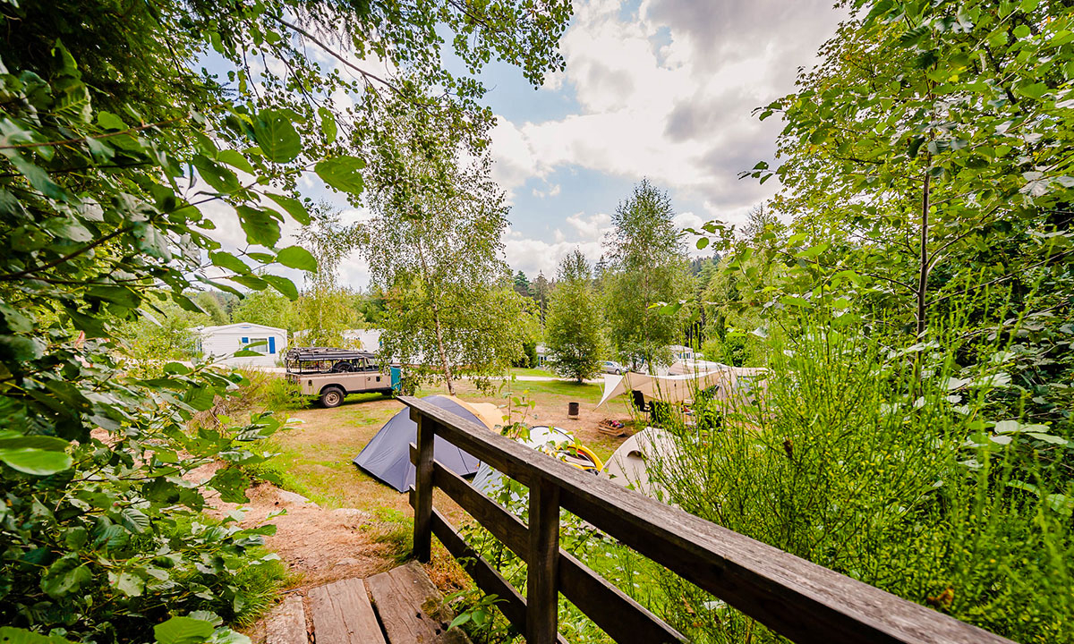 La Sténiole Lorena - Granges-sur-Vologne visuel 21/32