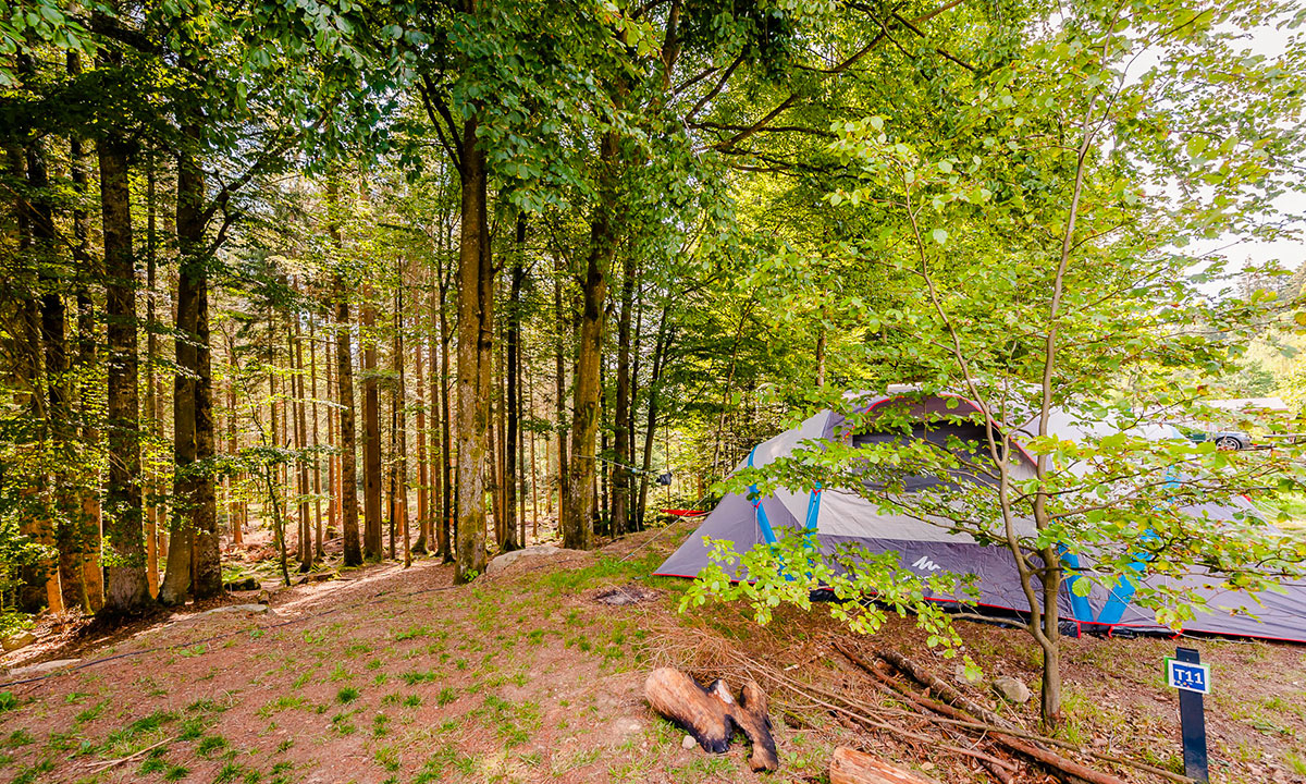 La Sténiole Lorena - Granges-sur-Vologne visuel 20/32