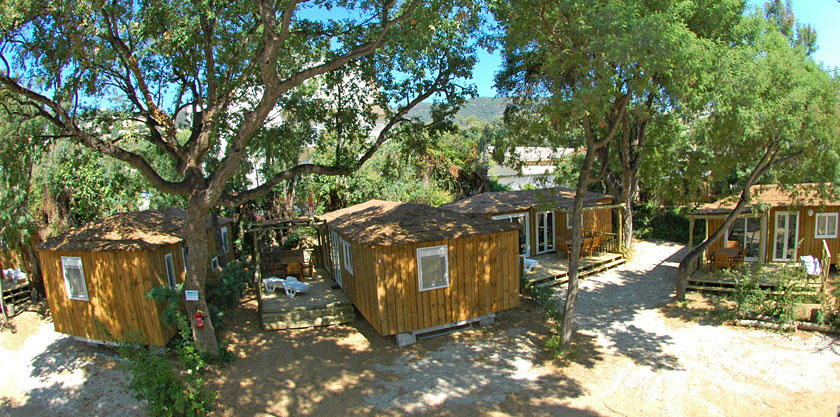 La Treille Provenza-Alpi-Costa Azzurra - Cavalaire-sur-Mer visuel 4/9