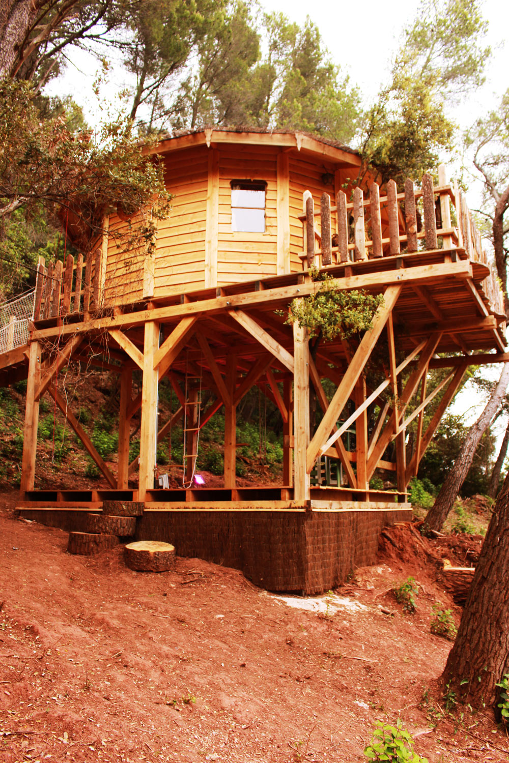 La Tuilière Provenza-Alpi-Costa Azzurra - Carnoules visuel 4/5