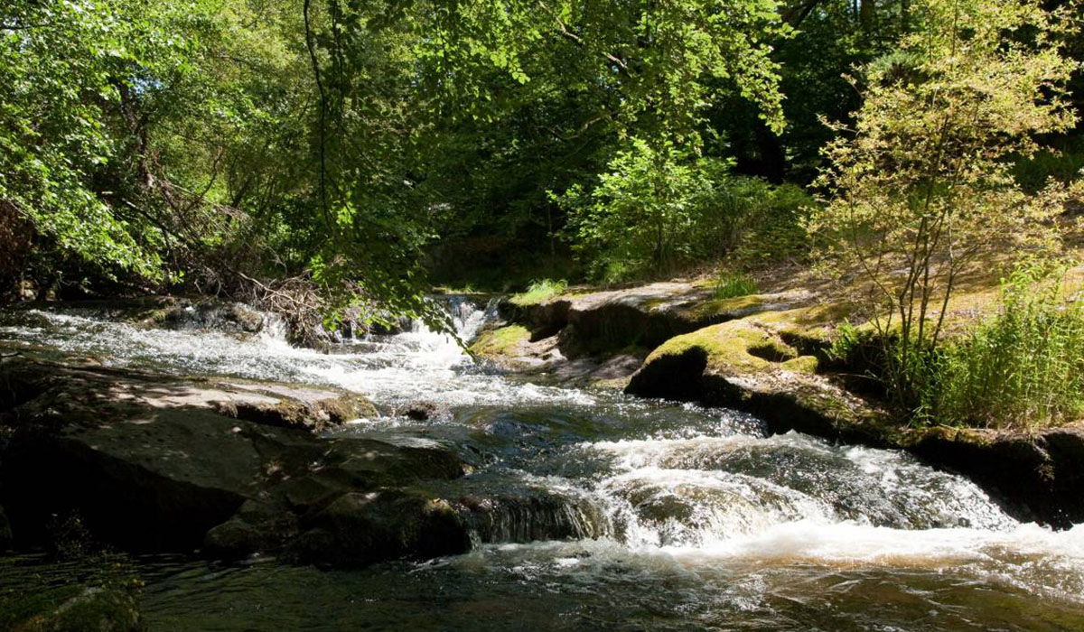 La ferme des Champeaux Limosino - Saint-Amand-le-Petit visuel 1/5