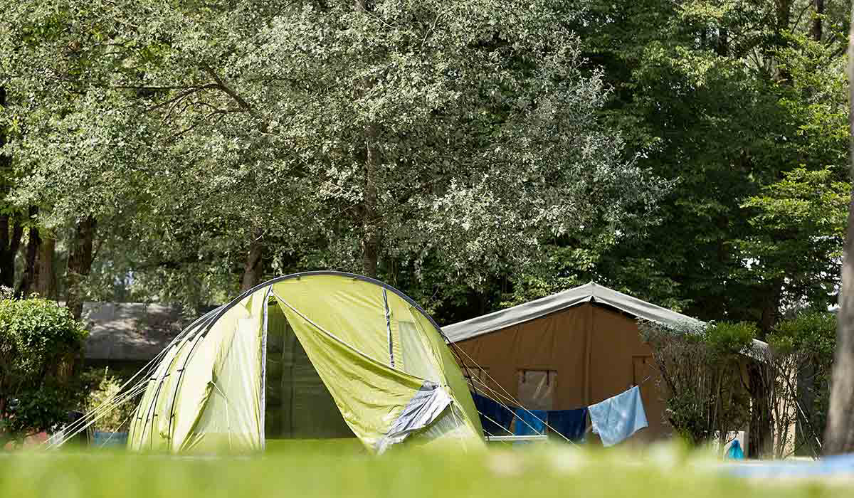 Lac d'Orient Champagne-Ardenne - Mesnil-Saint-Père visuel 11/15 Lac d'Orient Champagne-Ardenne - Mesnil-Saint-Père visuel 11/15