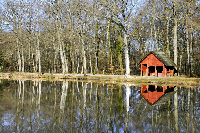 Lac de Sillé Paesi della Loira - Sillé-le-Guillaume visuel 1/1 Lac de Sillé Paesi della Loira - Sillé-le-Guillaume visuel 1/1