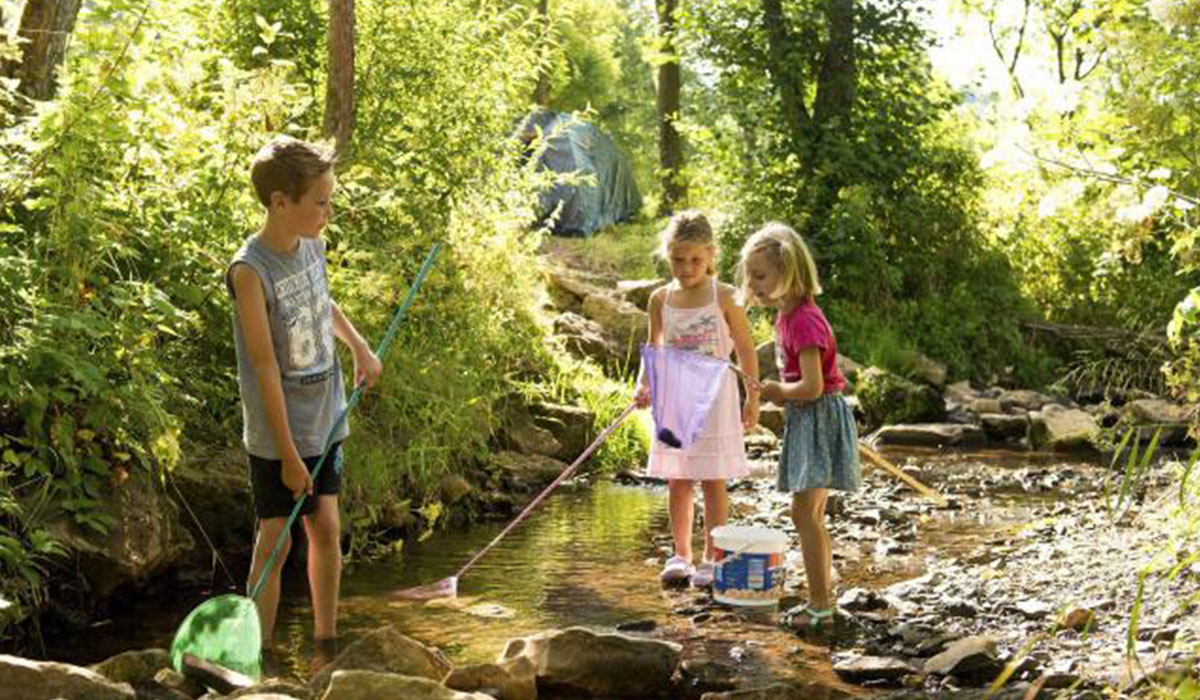 Landal Wirfttal Renania-Palatinato - stadtkyll visuel 1/4 Landal Wirfttal Renania-Palatinato - stadtkyll visuel 1/4