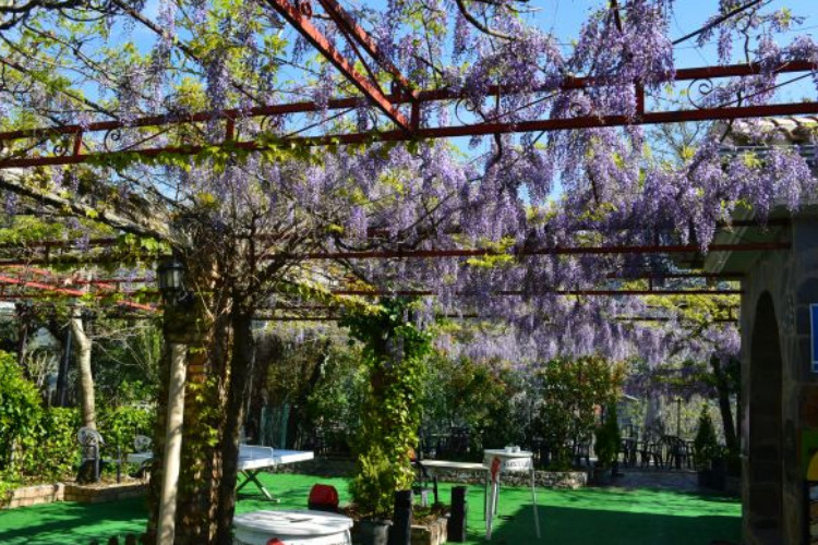 Las Lomas Andalusia - Güejar Sierra visuel 6/10