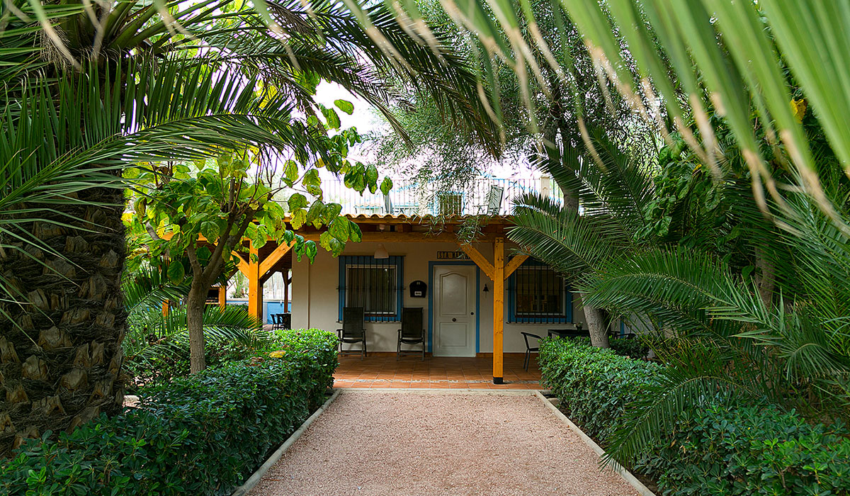 Las Palmeras Comunità Valenciana - Crevillente visuel 2/2