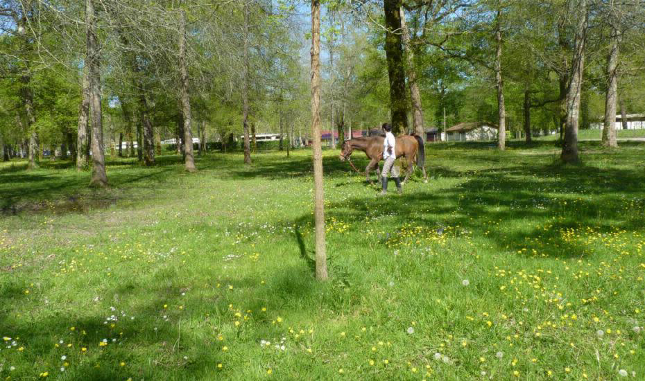 Le Bascat Aquitania - Dax visuel 1/4