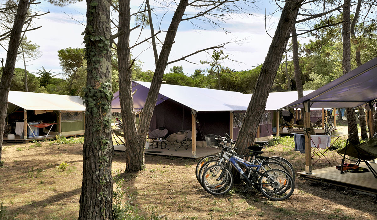 Le Bel Air Poitou-Charentes - La Flotte visuel 2/12