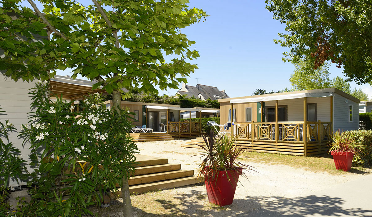 Le Bois d'Amour Bretagna - Quiberon visuel 5/11 Le Bois d'Amour Bretagna - Quiberon visuel 5/11