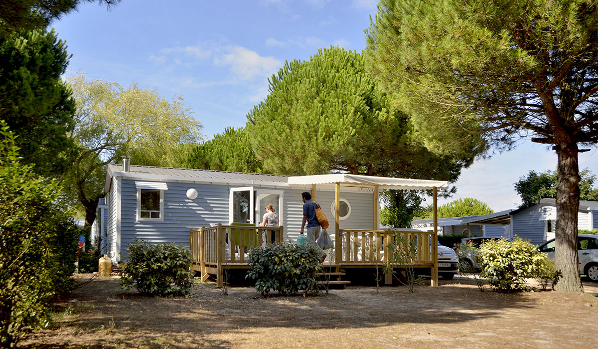 Le Bois d'Amour Bretagna - Quiberon visuel 4/11 Le Bois d'Amour Bretagna - Quiberon visuel 4/11