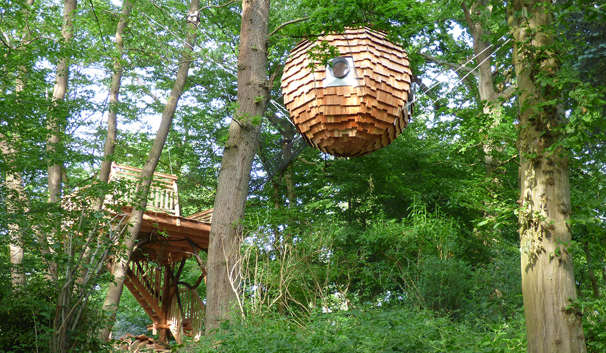 Domaine le Bois de Rosoy Île-de-France - Rosoy-en-Multien visuel 5/11