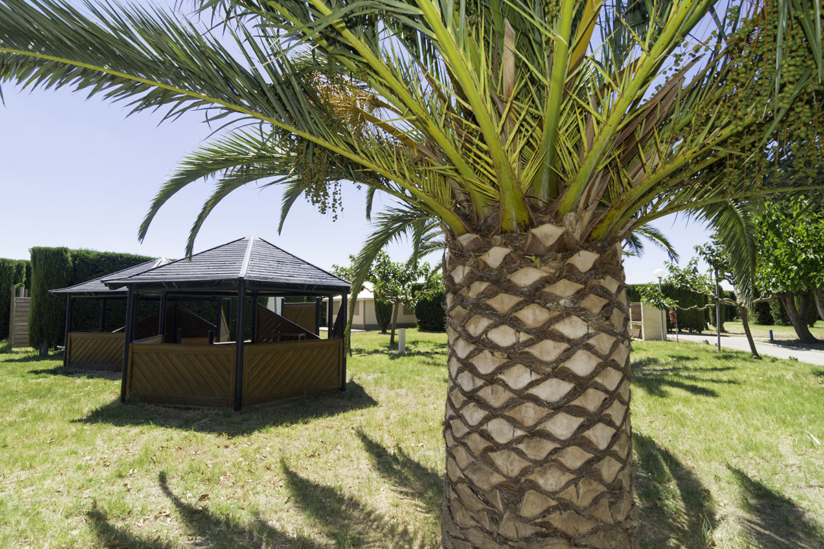 Le Cers Linguadoca-Rossiglione - Saint-Laurent-de-la-Salanque visuel 5/6